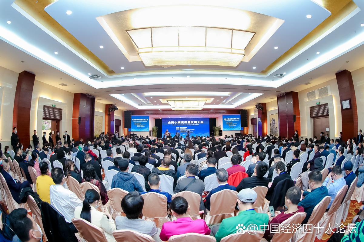 中国社会经济决策咨询中心发布